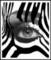 Prozebra Productions