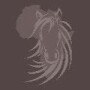 Cape Farriers Service