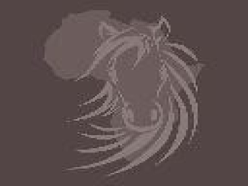 Cape Farriers Service