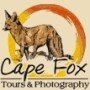 Cape Fox