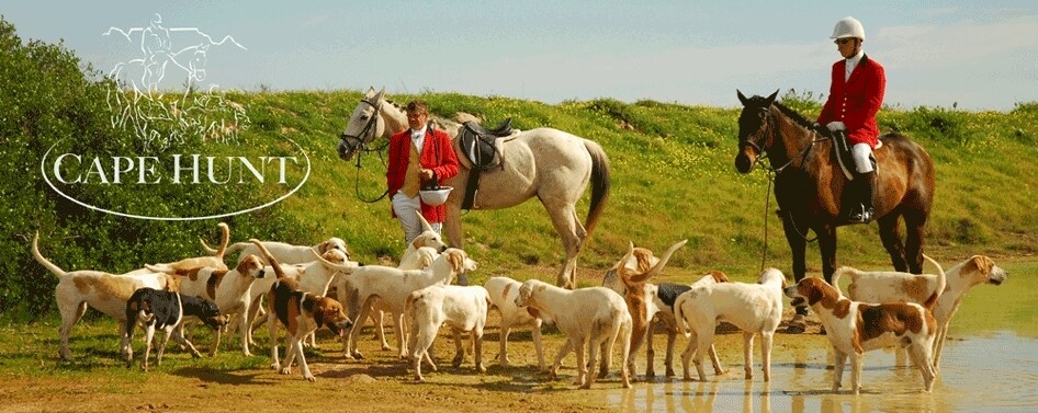 Cape Hunt