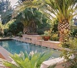 Garden services- Tree felling and General Gardening
