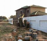 Garden services- Tree felling and General Gardening