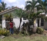 Garden services- Tree felling and General Gardening