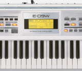 Roland E-09 61-key Arranger Keyboard