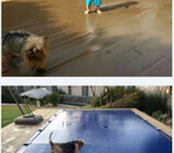 Heat Pumps & Solar heating for your Pool and/or Geyser