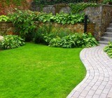 Tree felling, tree trimming, tree stump removal, cheaper rates