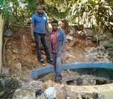 We supply Fish and water plant - Koi Fish Ponds and Pools